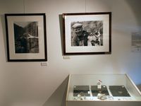 Exposition ELENA BERG