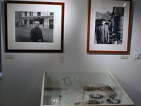 Exposition ELENA BERG